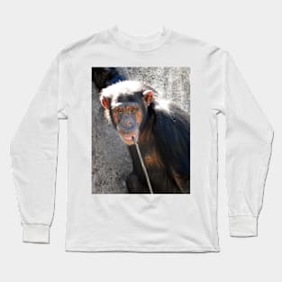 Chimpanzee Long Sleeve T-Shirt